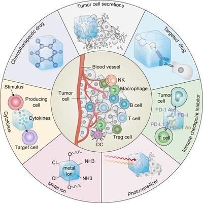 Injectable Hydrogel as a Unique Platform for Antitumor Therapy Targeting Immunosuppressive Tumor Microenvironment